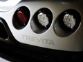 2010款 4.8 Trevita